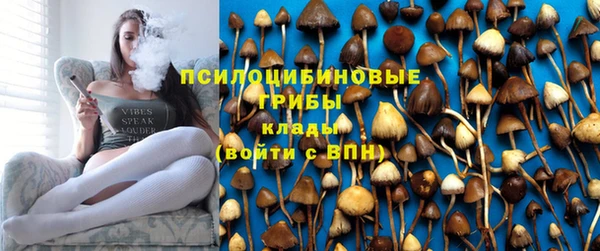 ECSTASY Дмитриев